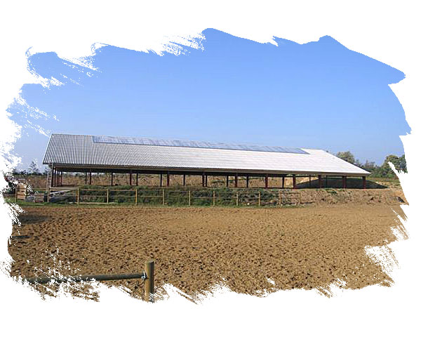 Byggemont�ren Henrik Rasmussen, Ulk�rvej 47, Nr. S�by, 7840 - H�jslev.  Mobil: 20 41 51 36